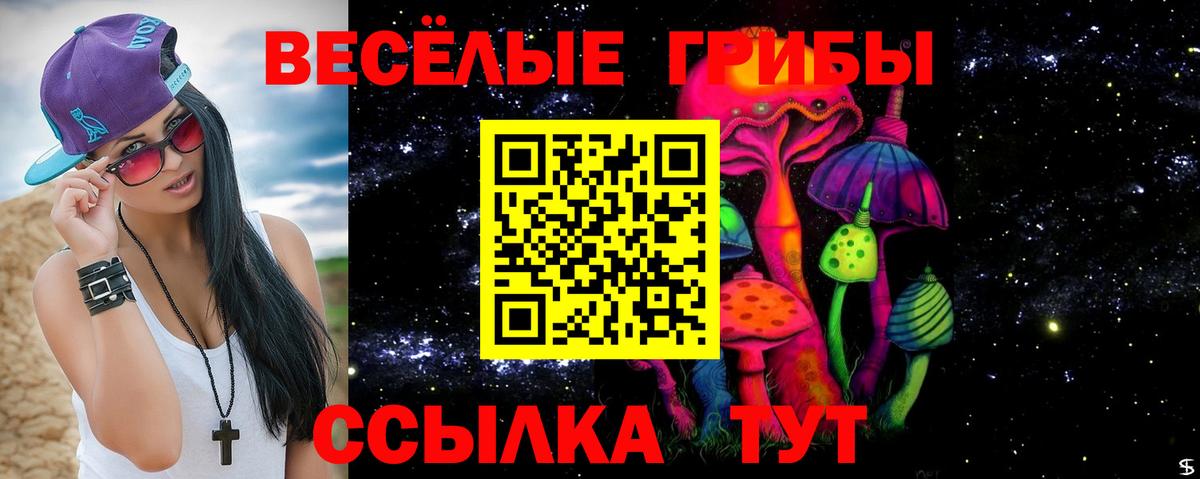Псилоцибиновые грибы GOLDEN TEACHER  Вход с VPN  Кувандык  Галлюциногенные грибы MAGIC MUSHROOMS 